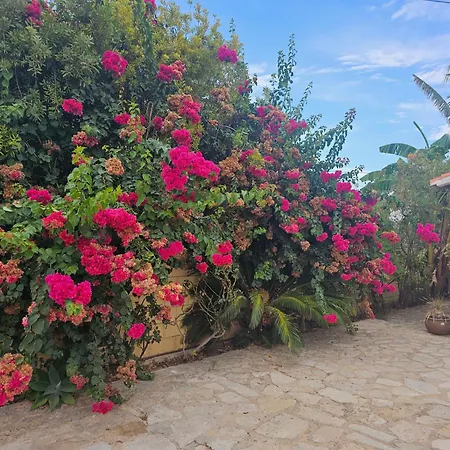 Casa De Flores Villa Denia
